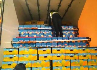 高速收費(fèi)站嚴(yán)厲打擊假冒綠色通道車輛，保障政策落實(shí)